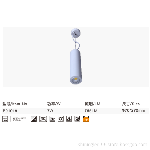 Restaurant led pendant light&led hanging light for hotel & led pendant lamp for cafe